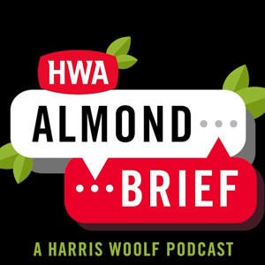 Almond Brief-Harris Woolf Almonds